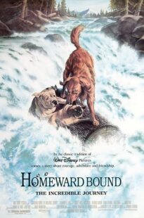 دانلود فیلم Homeward Bound: The Incredible Journey 1993371118-1689439931