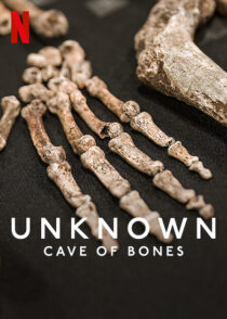 دانلود فیلم Unknown: Cave of Bones 2023370879-1461941965