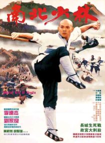 دانلود فیلم Martial Arts of Shaolin 1986376976-997805463