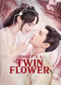 دانلود سریال Romance of a Twin Flower379211-942925641