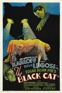 دانلود فیلم The Black Cat 1934378235-1236053594