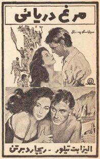 دانلود فیلم The Sandpiper 1965381611-1475959948