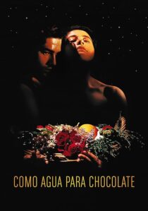 دانلود فیلم Like Water for Chocolate 1992387861-1656273571