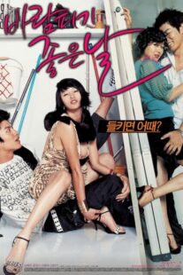 دانلود فیلم کره‌ای A Good Day to Have an Affair 2007384531-1598415563
