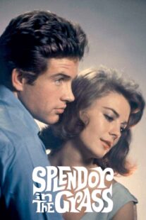 دانلود فیلم Splendor in the Grass 1961382554-1437492639