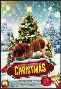 دانلود فیلم Project: Puppies for Christmas 2019390454-157577035