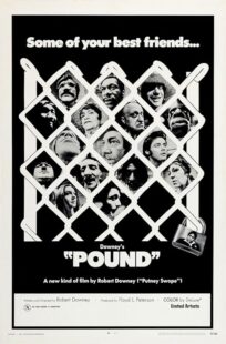 دانلود فیلم Pound 1970392026-2055371196