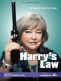 دانلود سریال Harry’s Law393952-1273409551