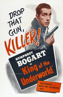 دانلود فیلم King of the Underworld 1939399475-1905291272