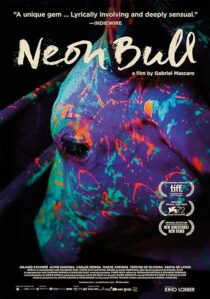 دانلود فیلم Neon Bull 2015396774-1802222614