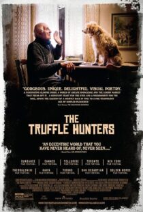 دانلود مستند The Truffle Hunters 2020397154-569920686