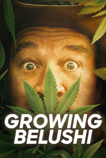 دانلود سریال Growing Belushi400424-1612769693