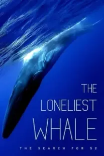 دانلود فیلم The Loneliest Whale: The Search for 52 2021403098-1119850406