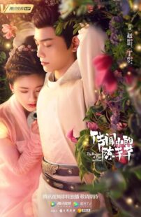 دانلود سریال The Romance of Tiger and Rose402001-2019566847