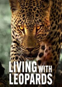 دانلود مستند Living with Leopards 2024400477-985130775