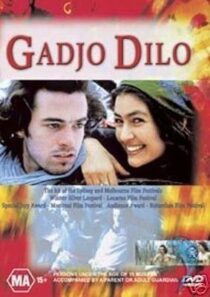 دانلود فیلم The Crazy Stranger 1997407241-715809069