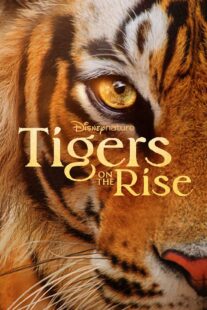 دانلود مستند Tigers on the Rise 2024407068-873221126