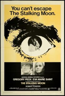 دانلود فیلم The Stalking Moon 1968411229-618949386
