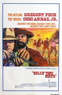 دانلود فیلم Billy Two Hats 1974411057-895582627