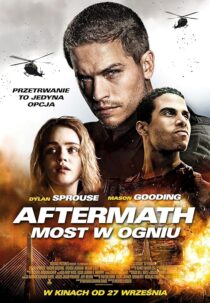 دانلود فیلم Aftermath 2024414352-290984645