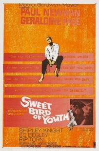 دانلود فیلم Sweet Bird of Youth 1962415738-644145006