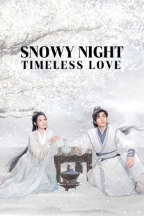 دانلود سریال Snowy Night Timeless Love417168-236066454