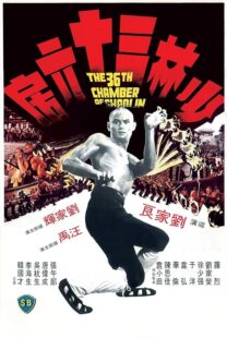 دانلود فیلم The 36th Chamber of Shaolin 1978418237-776162802