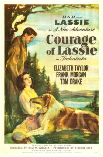 دانلود فیلم Courage of Lassie 1946417427-1185515862