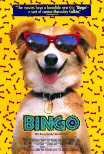 دانلود فیلم Bingo 1991417459-821334878