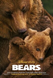 دانلود مستند Bears 2014419641-1421379844