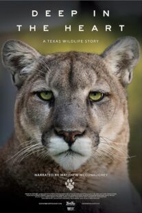 دانلود مستند Deep in the Heart: A Texas Wildlife Story 2022421545-71369729