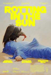 دانلود فیلم Rotting in the Sun 2023418816-294630994