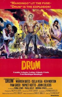 دانلود فیلم Drum 1976423508-888328951