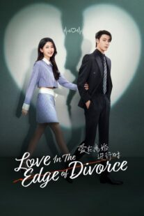 دانلود سریال Love in the Edge of Divorce426889-936203601