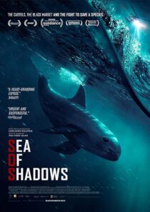 دانلود فیلم Sea of Shadows 2019427147-1876230190