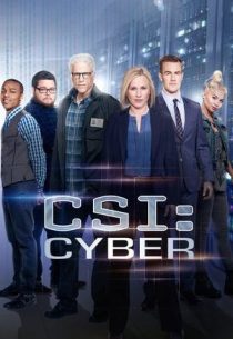 دانلود سریال CSI: Cyber428329-1100172615