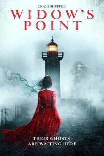 دانلود فیلم Widow’s Point 2019428433-685193653