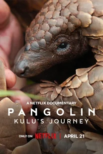 دانلود مستند Pangolin: Kulu’s Journey 2025430703-524170592