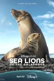 دانلود مستند Sea Lions of the Galapagos 2025431056-1876717835